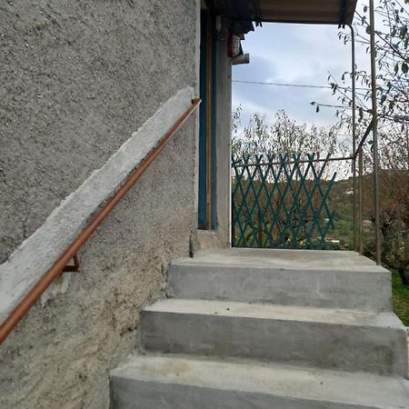 شقة Casa Vita Vallebona المظهر الخارجي الصورة