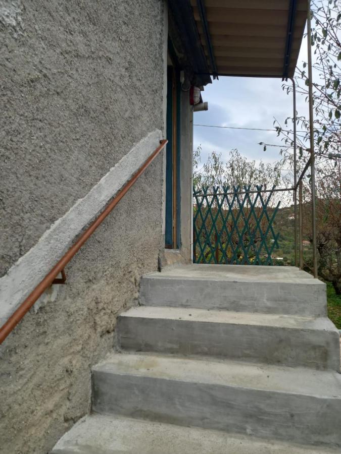 شقة Casa Vita Vallebona المظهر الخارجي الصورة
