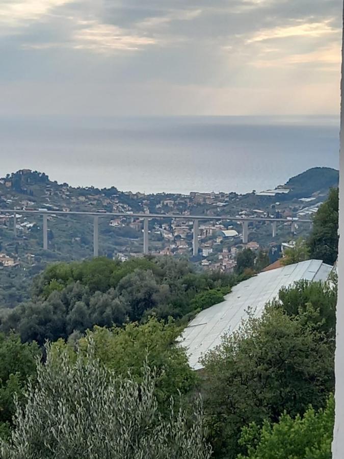 شقة Casa Vita Vallebona المظهر الخارجي الصورة
